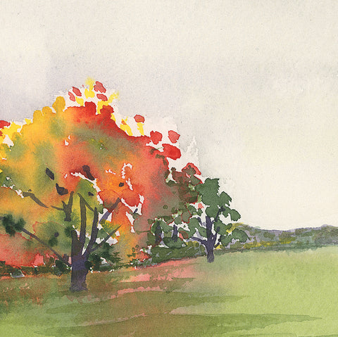 Back Home Raking Leaves