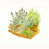 Marie's Garden