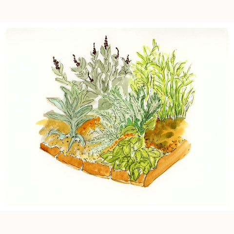Marie's Garden