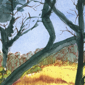Meandering on the Redrock Spur