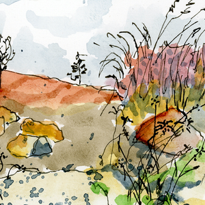 On Tunipus Pond