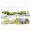 Pawtuxet Cove
