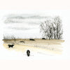 November Cows