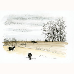 November Cows
