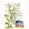 Williams Cottage and Plane Tree