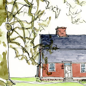 Williams Cottage and Plane Tree