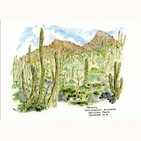 Rough Hillside