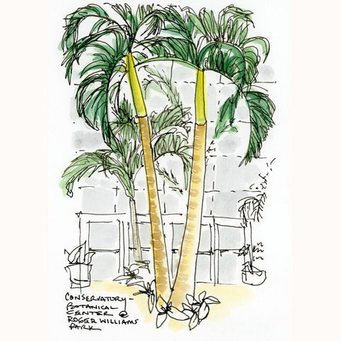 Palm Trees In the Conservatory