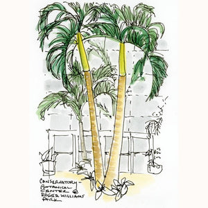 Palm Trees In the Conservatory