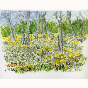 Daffodil Grove
