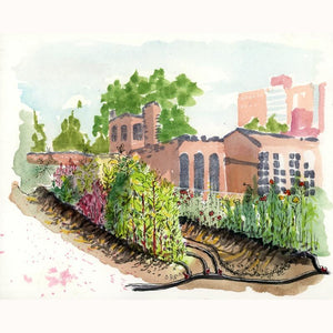 City Flowers at Noon