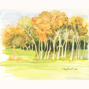 Sunset Grove