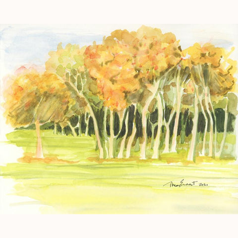 Sunset Grove